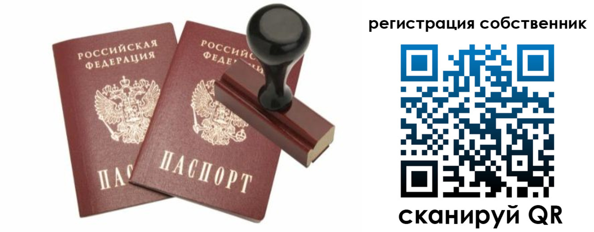 прописка паспорт в Барыше